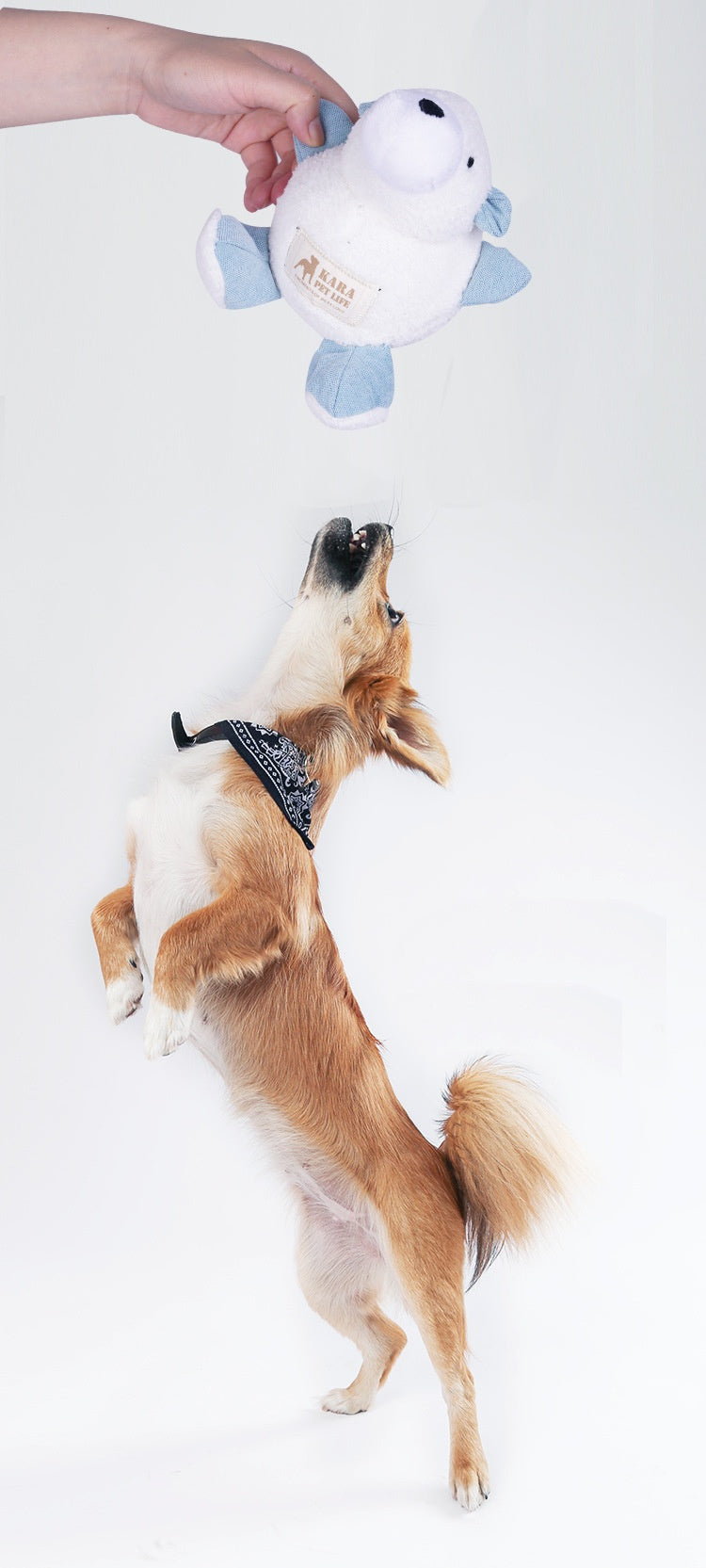 Plush Molar Bite-Resistant Dog Toy