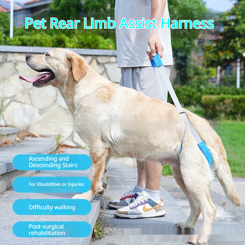 Posterior Limb Assistive Strap For Elderly Disabled Pets