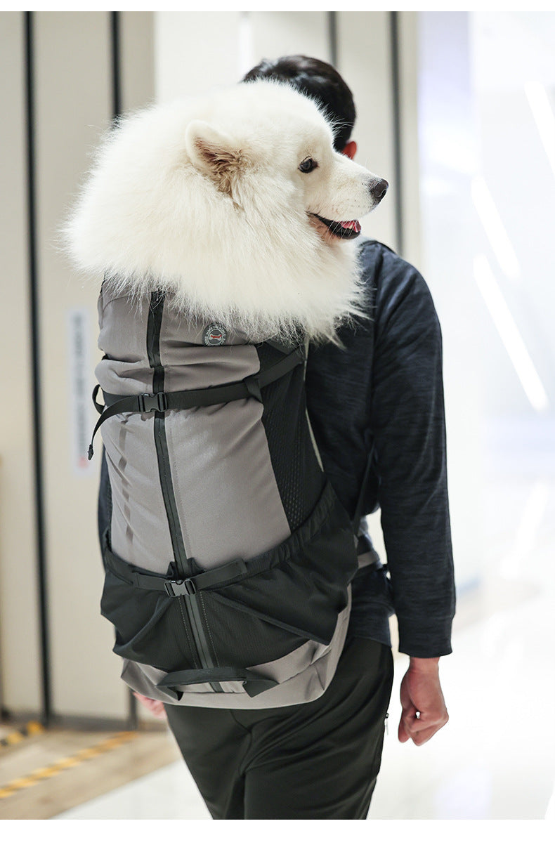 Double-Layer Protective Pet Backpack