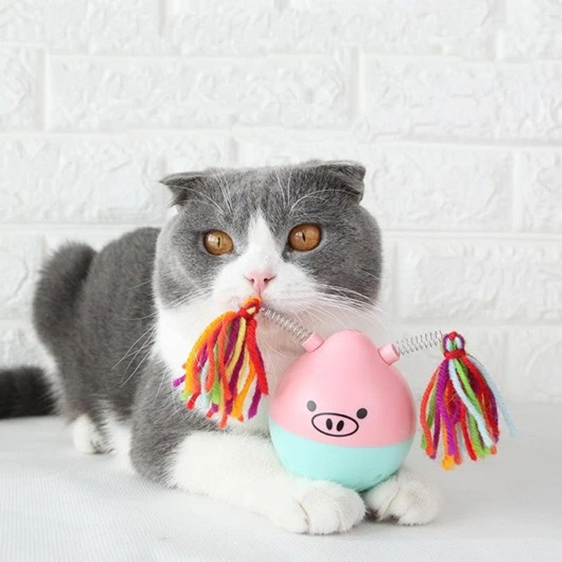 Tumbler Pet Toy