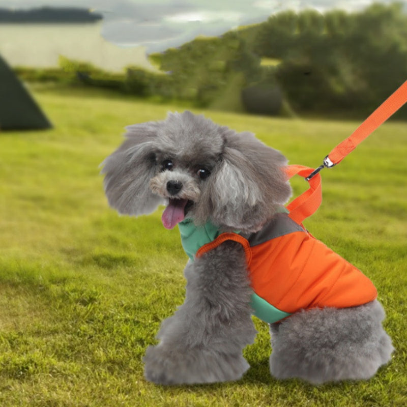 Warm Cotton-Padded Winter Dog Clothes