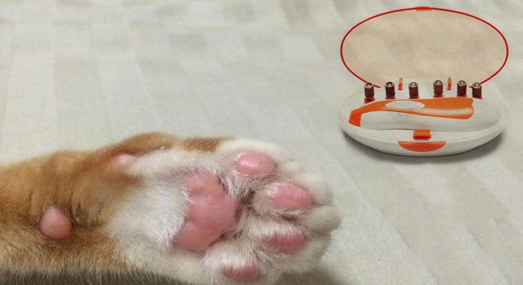 Electric Manicure, Pet Nail Sharpener