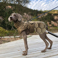 Thickened Warm Outdoor Dog Clothes