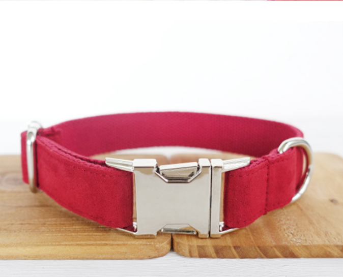 Everyday Dog Traction Collar
