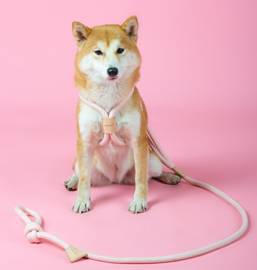 Pet Dual-Purpose Integrated Round Rope Dog Leash