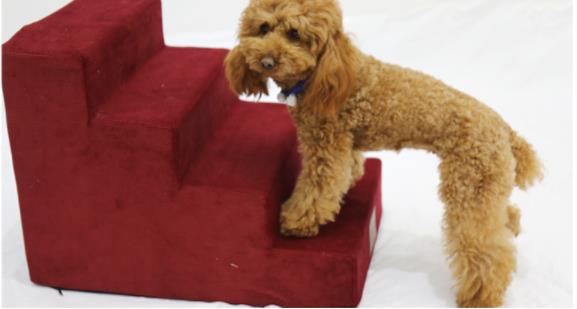 Dog Stair Ladder Steps