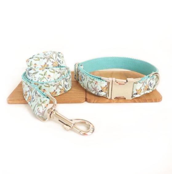 Pet Dog Collar With High Quality Soft Comfort