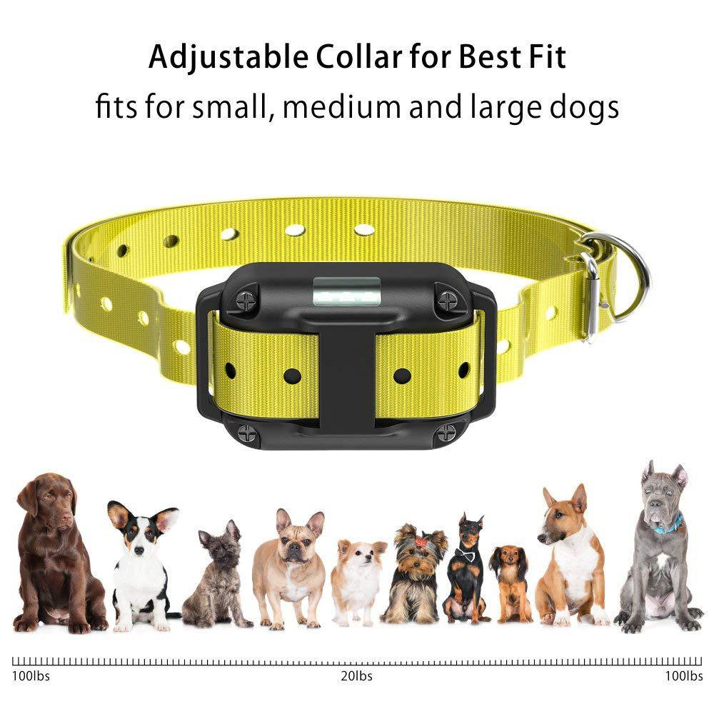 Electronic Stop Collar