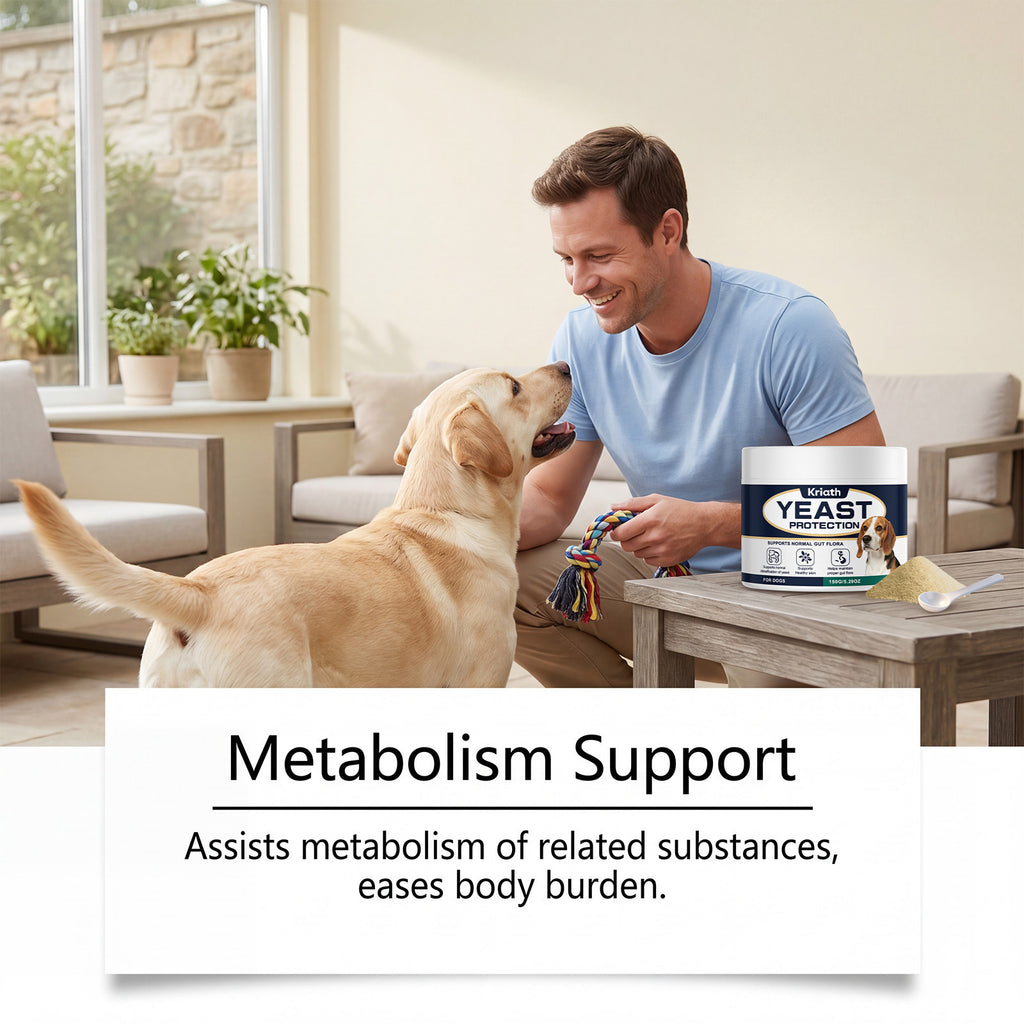 Dog Yeast Supplement for Daily Care