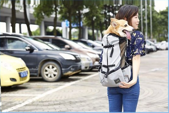 Ventilated Breathable Pet Travel Backpack