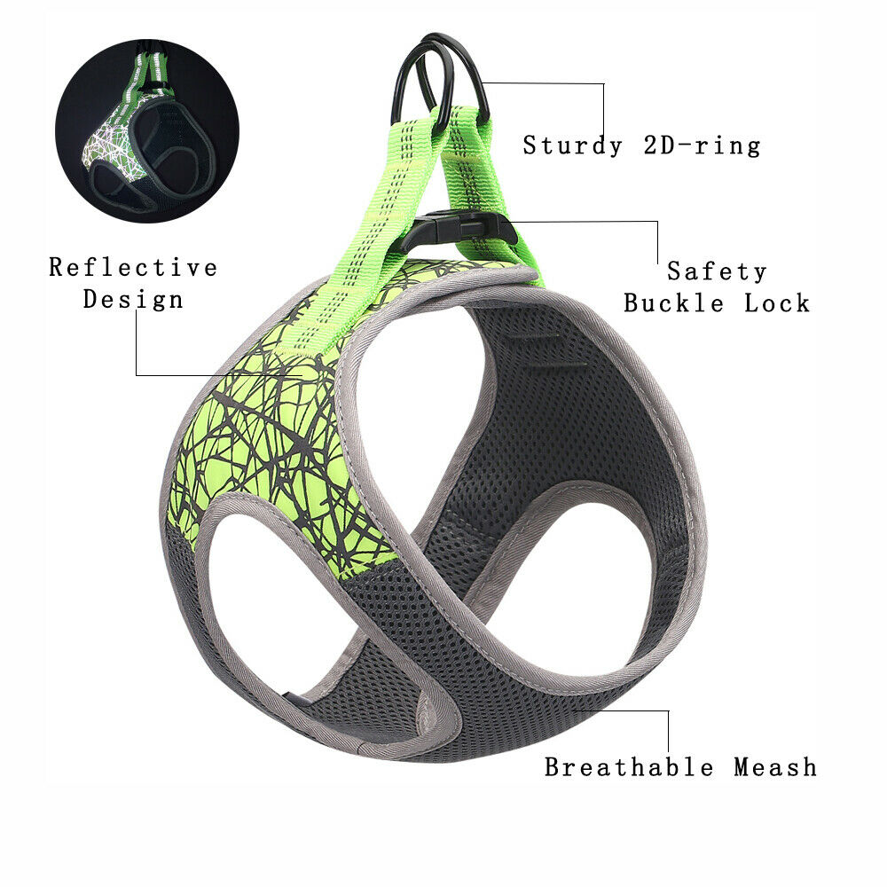 Dog Leash Vest
