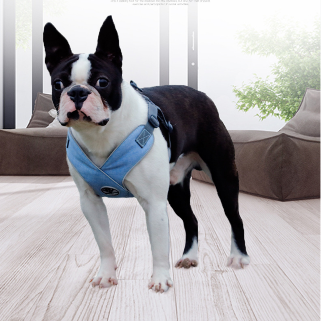 Teddy Breathable Puppy Chest Strap