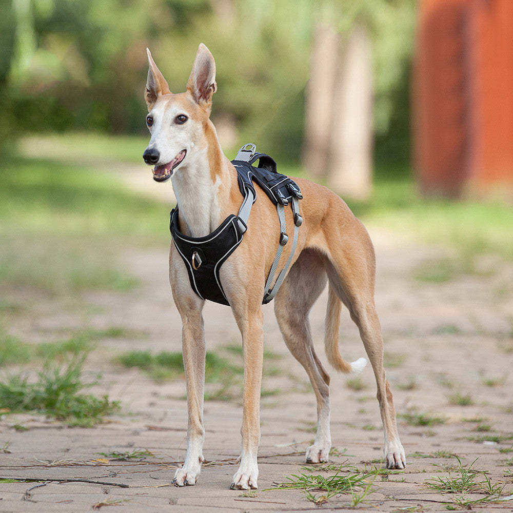 Reflective Breathable Dog Harness Vest