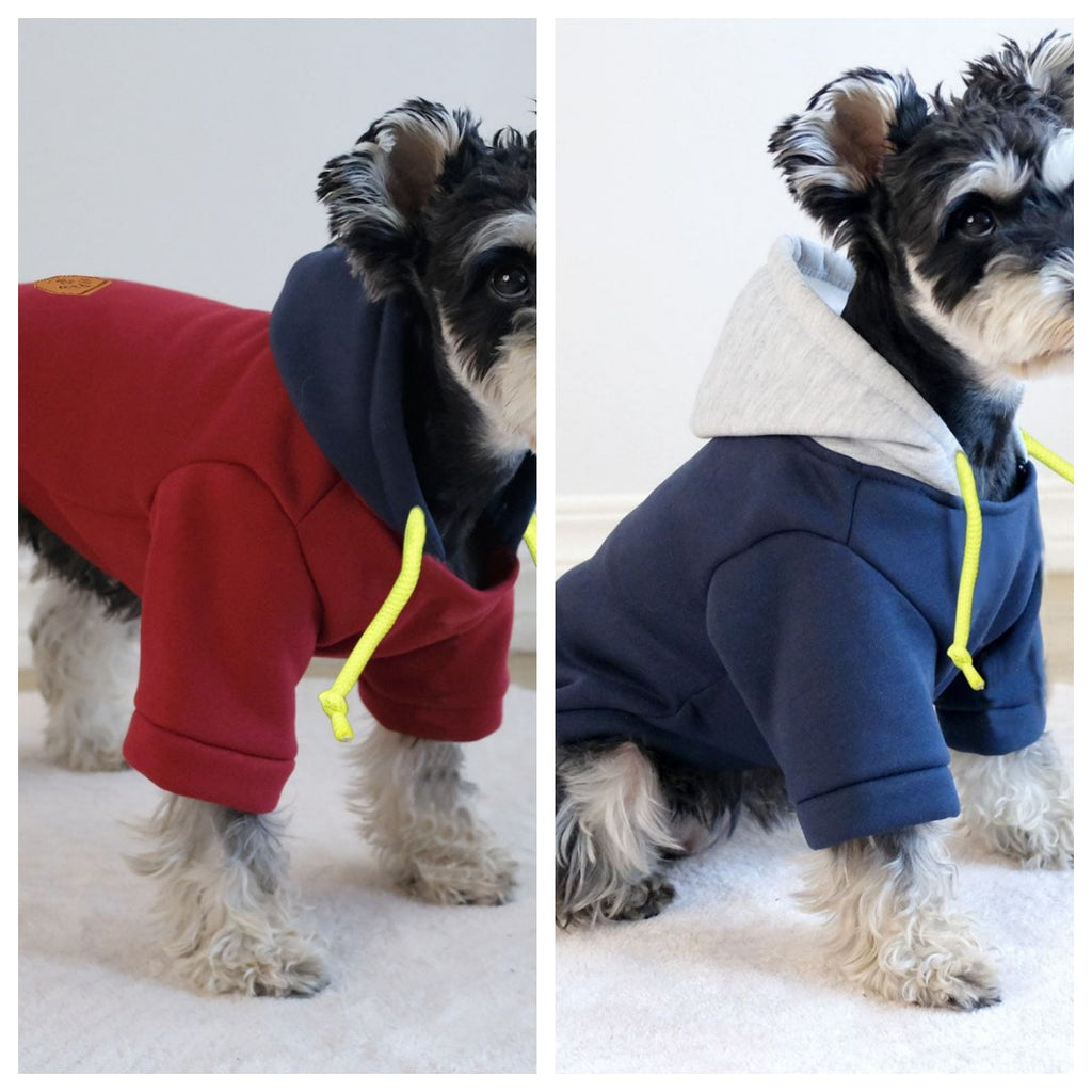 Simple Hooded Pet Pullover With Contrast Color