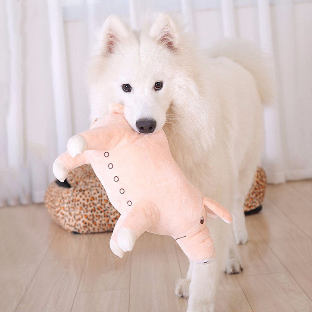 Pet Vent Molar Teeth Bite Resistant Pig Toy