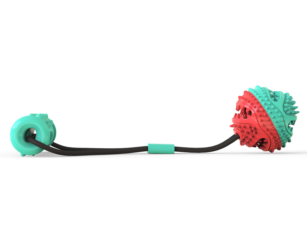 Pet Pull Rope Training Ball Toy