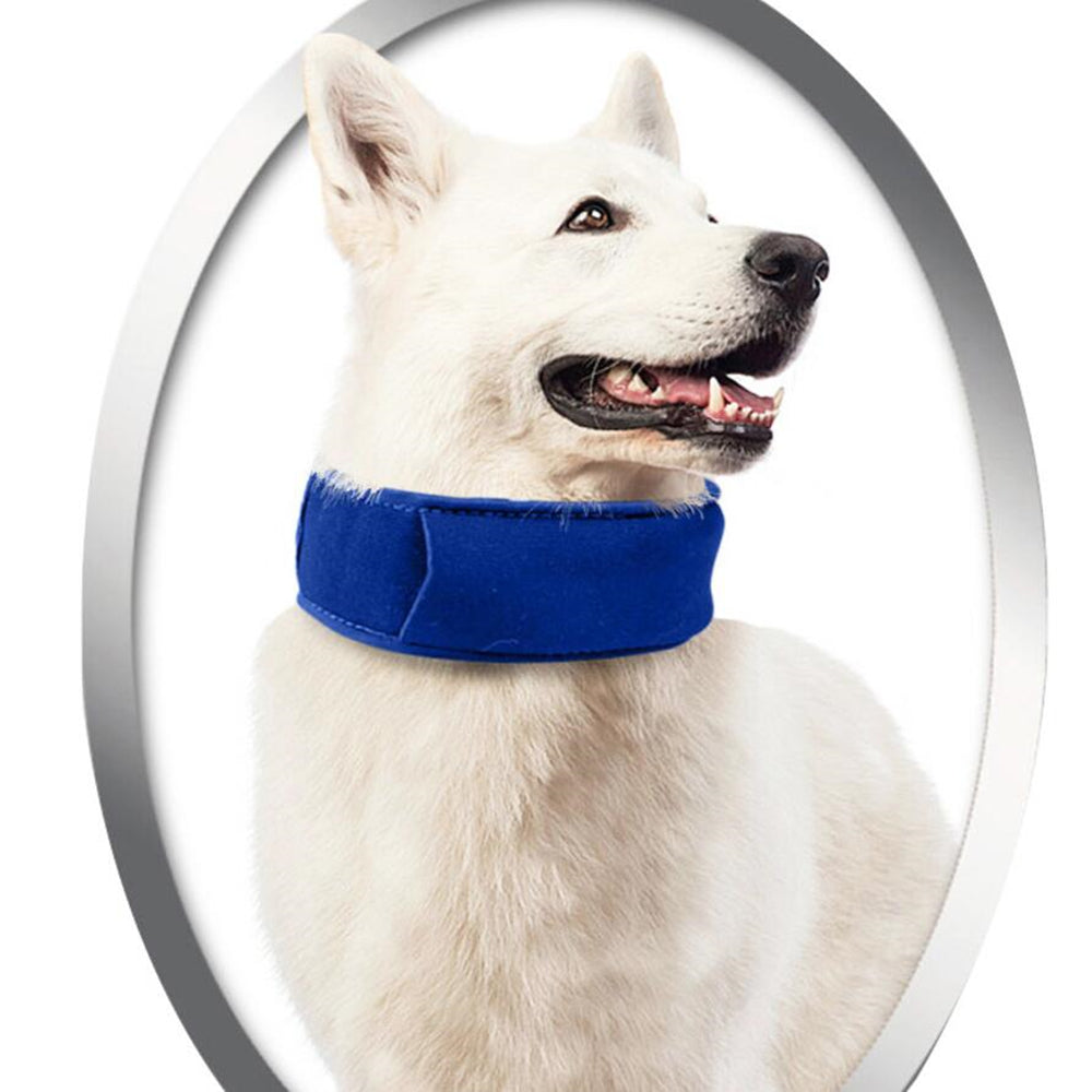 Pet Heatstroke Cooling Collar