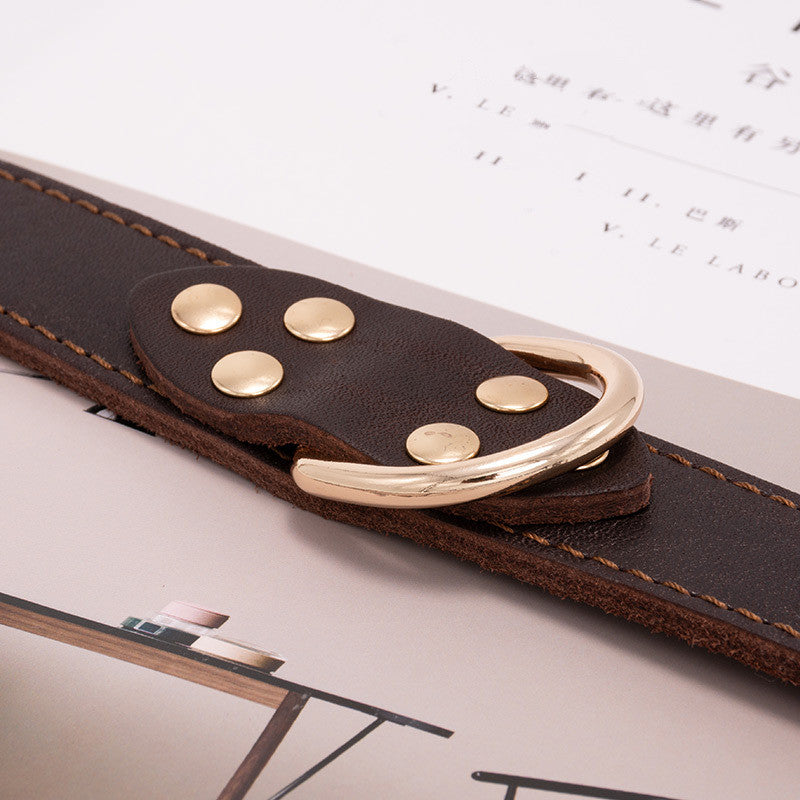 Dog Collar In Three Sizes