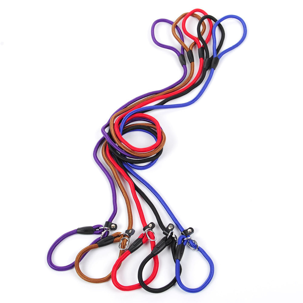Nylon Dog Leash