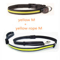Dog Luminous Collar