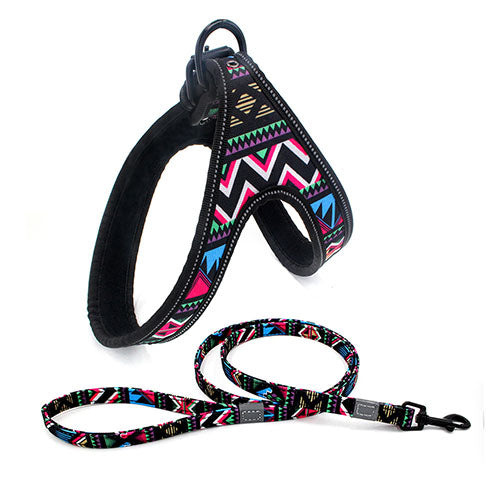 Colorful Dog Walking Harness And Leash