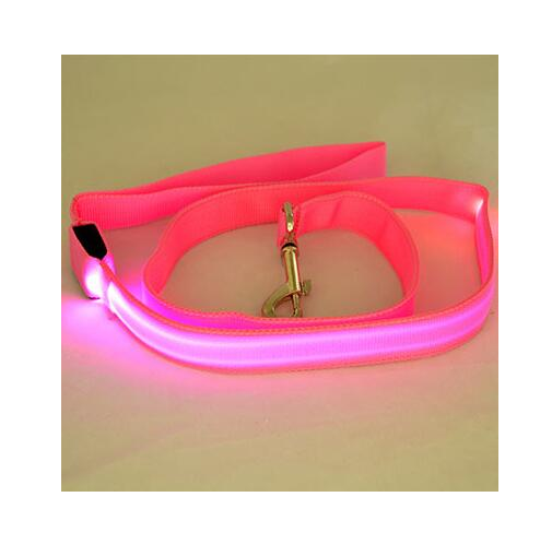 LED Illuminated Nylon Pet Leash