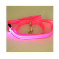 LED Illuminated Nylon Pet Leash