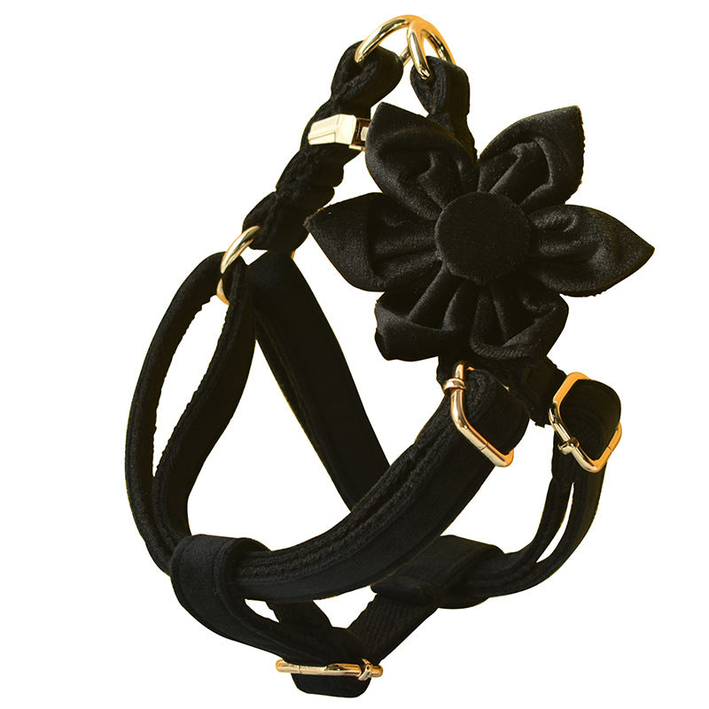 Black Gold Buckle Dog Harness