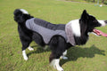 Thickened Dog Padded Reflective Coat