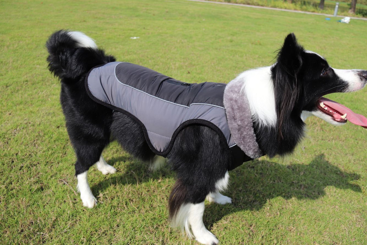 Thickened Dog Padded Reflective Coat