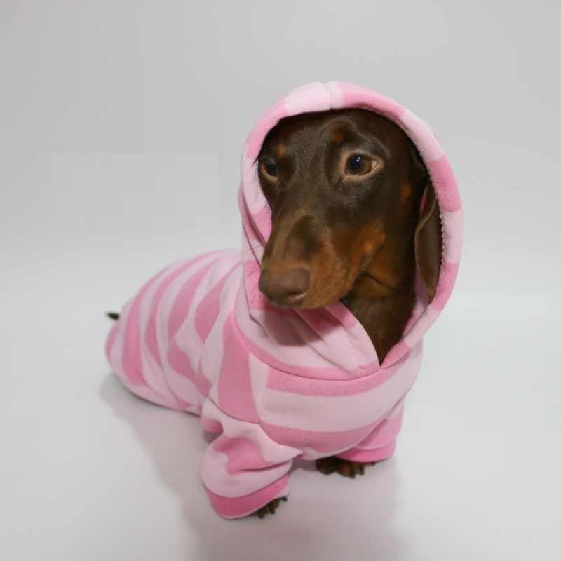 Hooded Pink Pet Sweater for Autumn and Winter