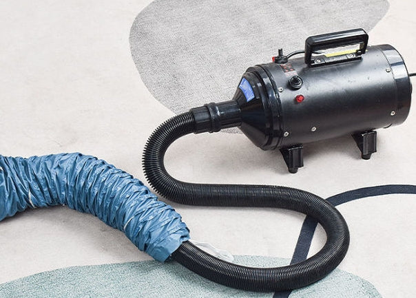 Automatic Drying Bag With Hair Dryer