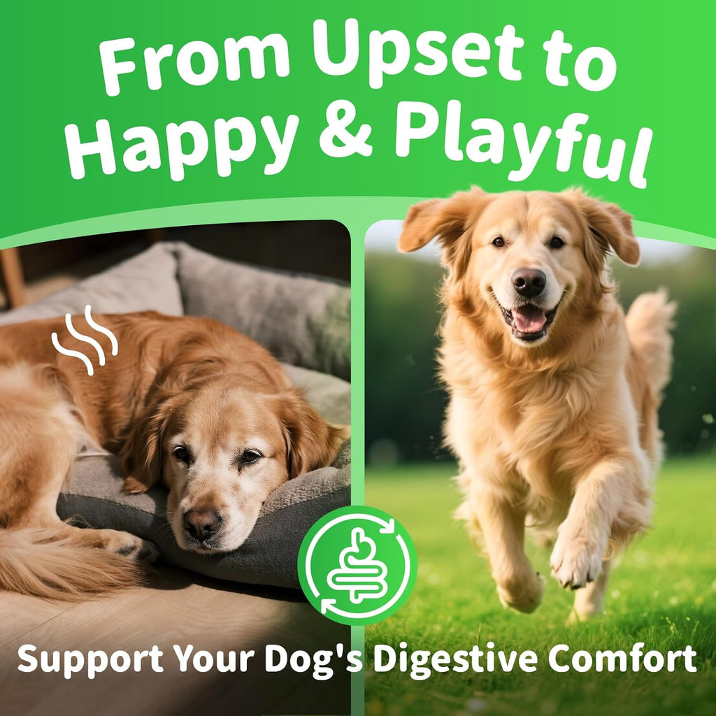 Dog Probiotics Digestive Enzymes,Pumpkin Fiber Chews For Gut Health, Constipation Upset Stomach Relief, Gas & Stool Support, Chicken Flavor