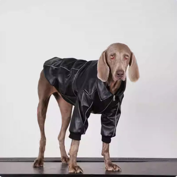 Autumn Black Leather Dog Jacket