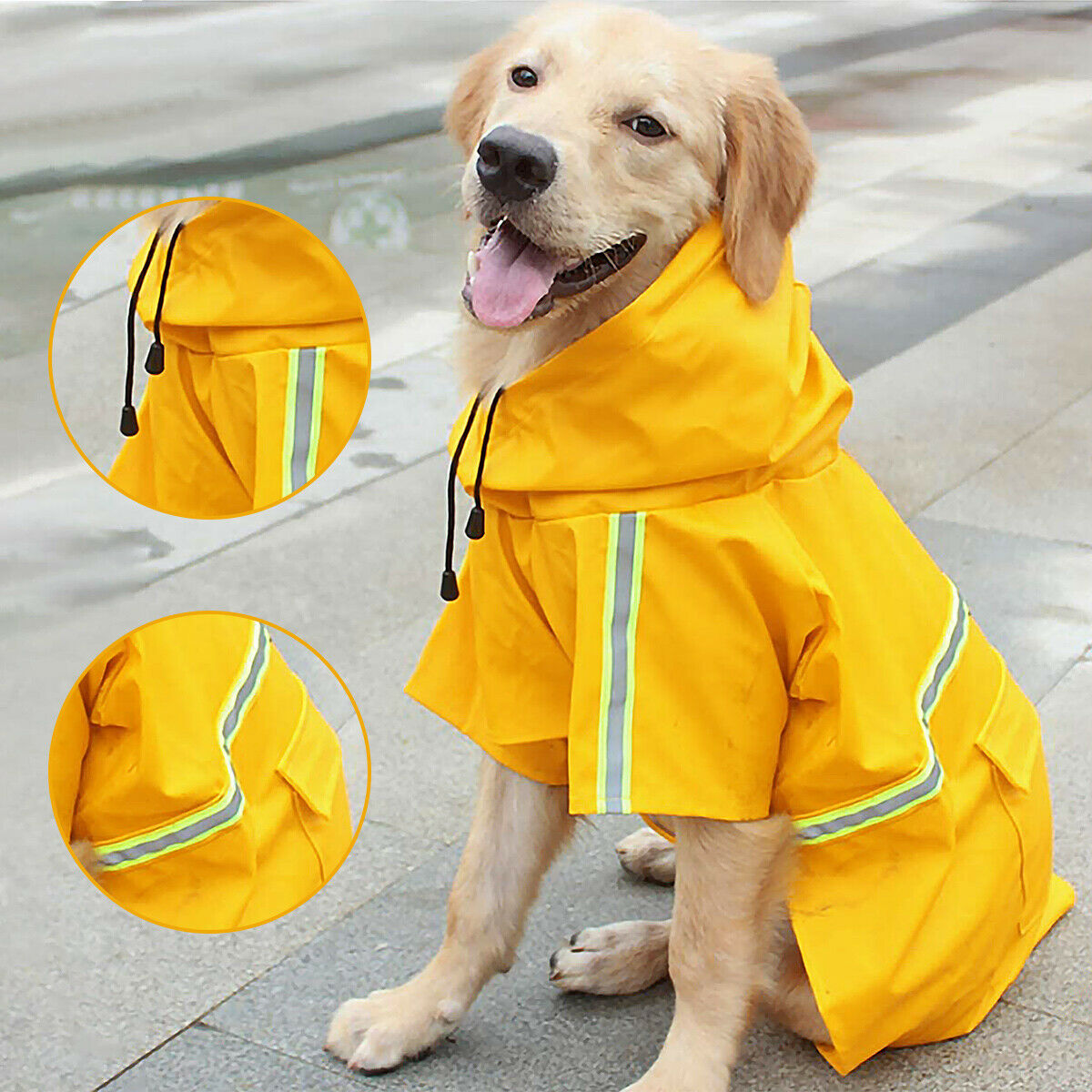 Waterproof Hooded Dog Raincoat With Leash