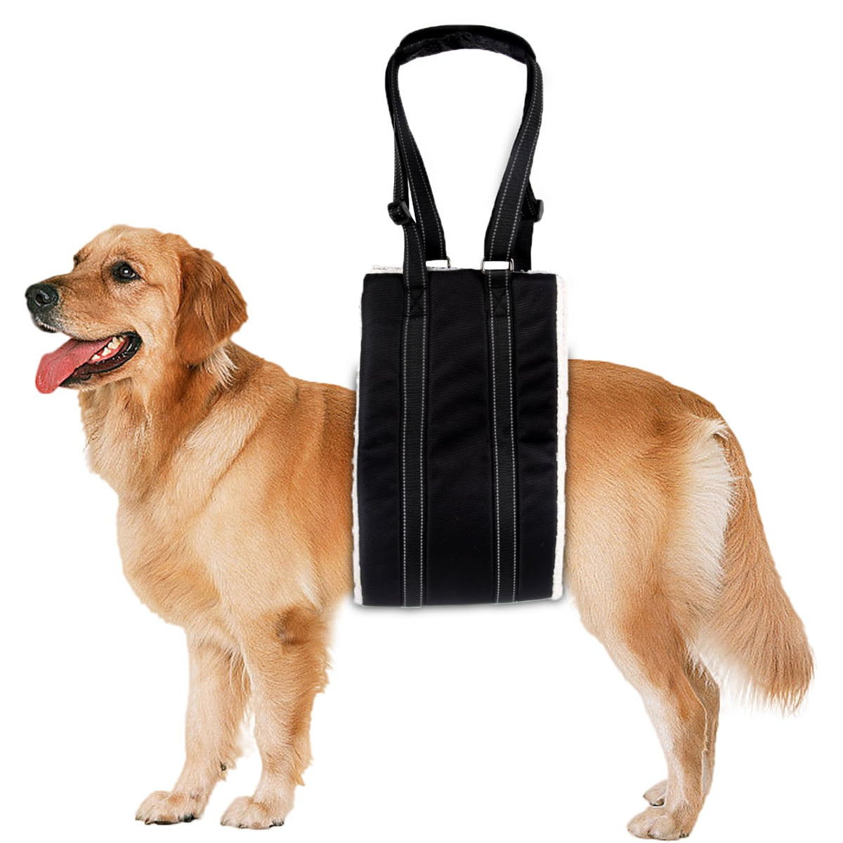 Adjustable Dog Back Leg Lift Harness
