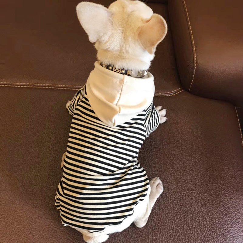 Cotton Sweatshirt for Small Dogs