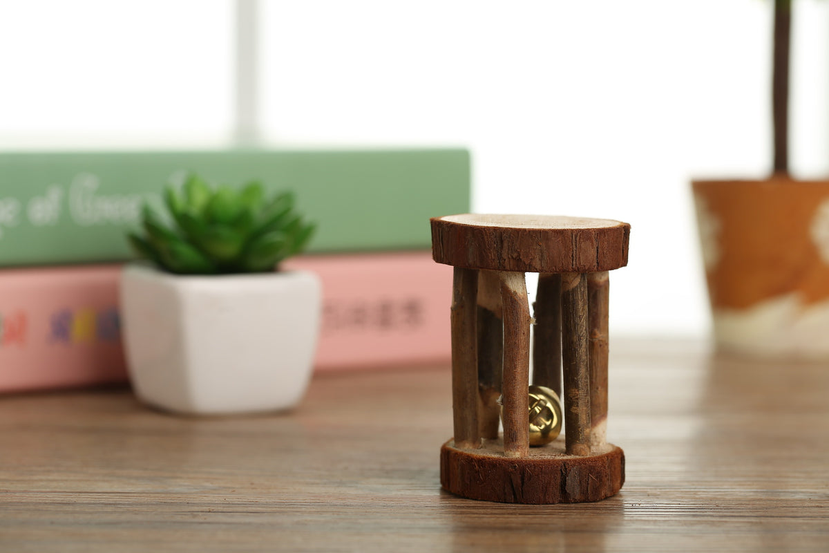 Natural Wooden Chase Toy