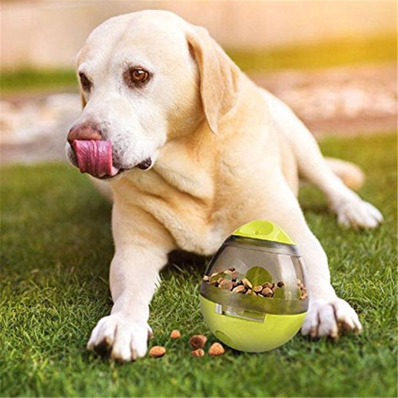 Dog Food Leaker Toy