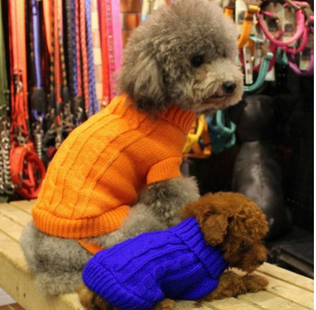 Knitted Dog Sweater With Buttons