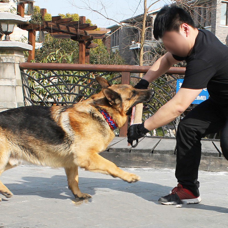 Dog Training Bite Stick