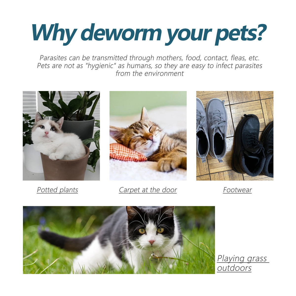 Pet Anti-Flea Tick Agent