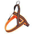 Vest-Style Dog Chest Harness