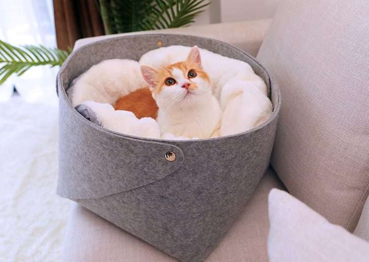 Detachable Pet Bed with Size Options
