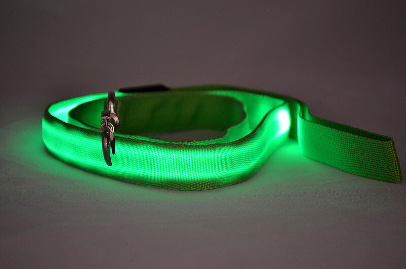 Glowing LED Dog Leash