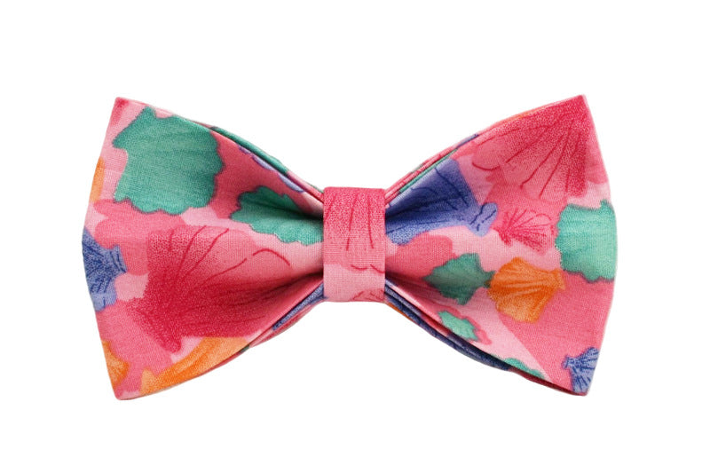 Foundation Shell Dog Collar Pet Collar Bow