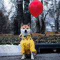 Windproof Waterproof Dog Raincoat