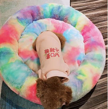 Pet Rainbow Nest