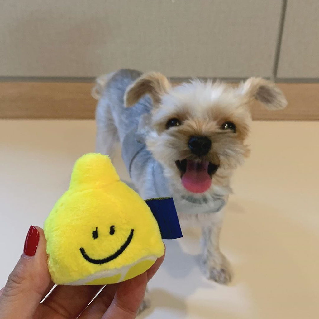 Pet Plush Voice Toy