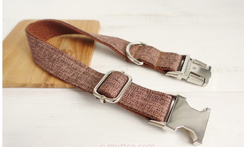Traction Collar